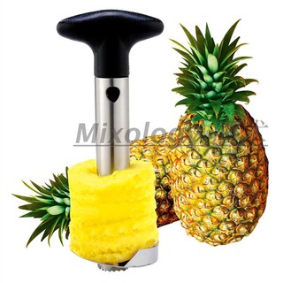 Dụng Cụ Gọt Dứa Đa Năng Bằng Thép Không Gỉ