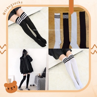 Tất đùi nữ sinh (D01) - ảnh thật