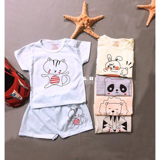 combo 5 bộ cotong hè cho bé