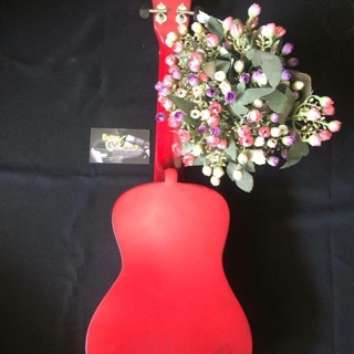 Đàn ukulele concert