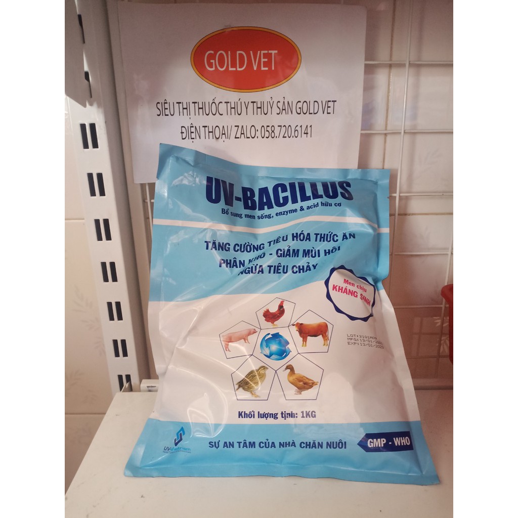 [Giá rẻ] UV-BACILLUS [ 1 kg] KÍCH THÍCH TIÊU HOÁ, ngon miệng, giảm mùi hôi, ngừa tiêu chảy