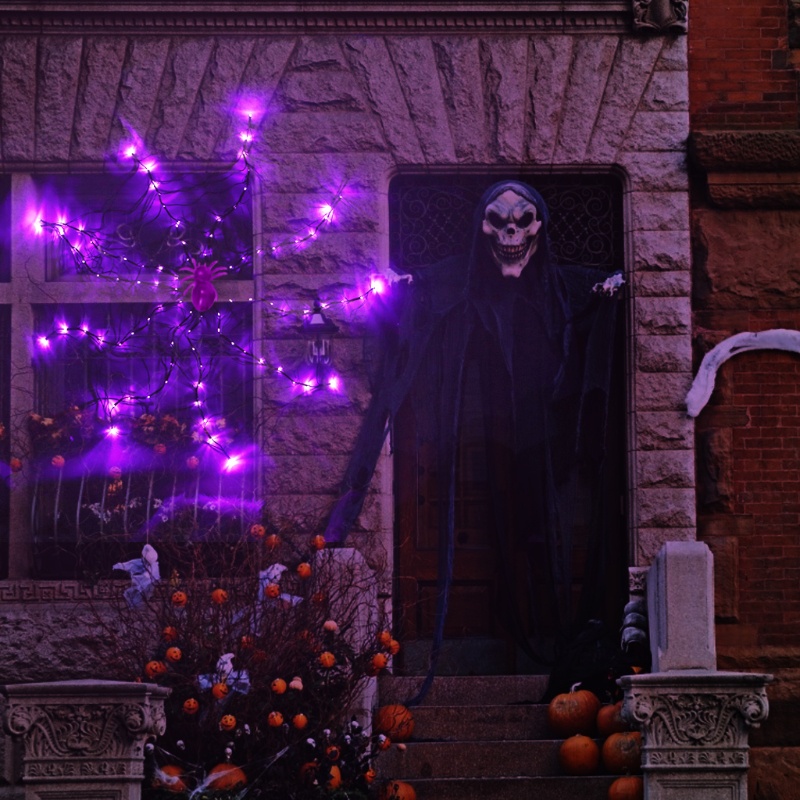 Dây Đèn Led Hình Lưới Nhện Trang Trí Halloween
