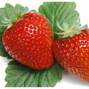 Dâu tây sấy dẻo không đường, Dâu tây sấy nguyên vị chua ngọt không đường Bảo Quân