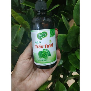 Dung dịch vệ sinh phụ nữ Nước Lá Trầu Tươi Nguyên Chất