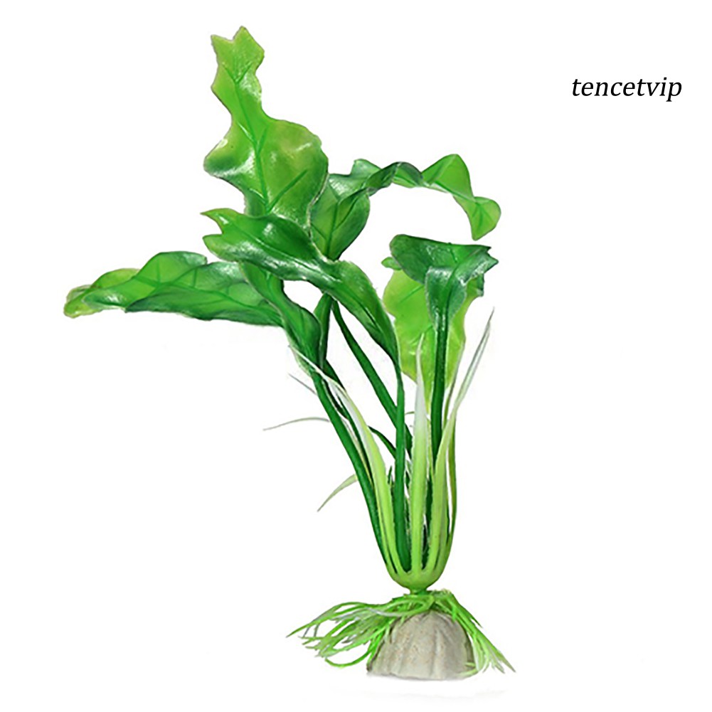 Cỏ Nhân Tạo Trang Trí Bể Cá