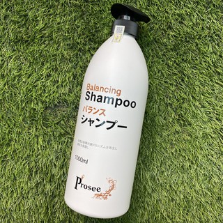 Dầu gội ngăn ngừa gàu và chống rụng Prosee Balancing AS14 1000ml