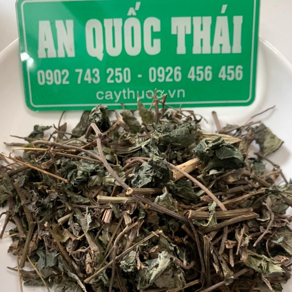 Lá Lốt 1kg (Cành, Lá) Khô Sạch, Cây Lá Lốt Hỗ Trợ Bệnh Gout, Giảm Đau Nhức Xương Khớp