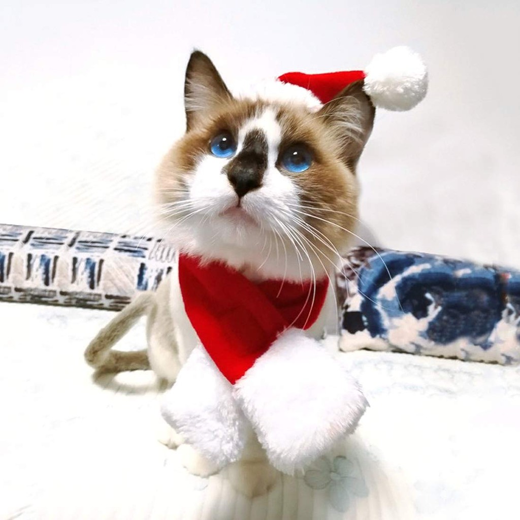 Mũ Khăn Giáng sinh cho chó mèo/thú cưng - Christmas hat and scarf for pet/ dog cat