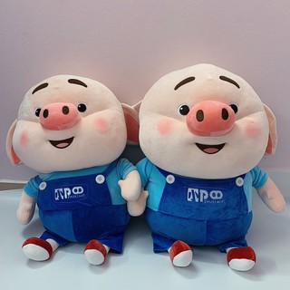 Gấu Bông Lợn Tik Tok Đủ cỡ