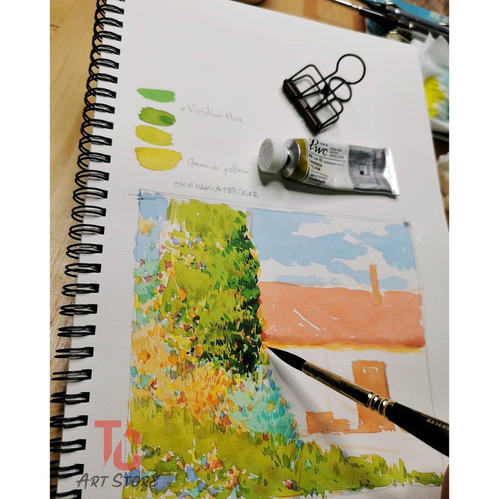 Bộ 18 Màu Nước SHINHAN PROFESSIONAL Tuýp 21ml