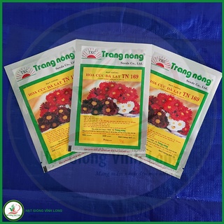 Hạt giống hoa Cúc Đà lạt TN 169