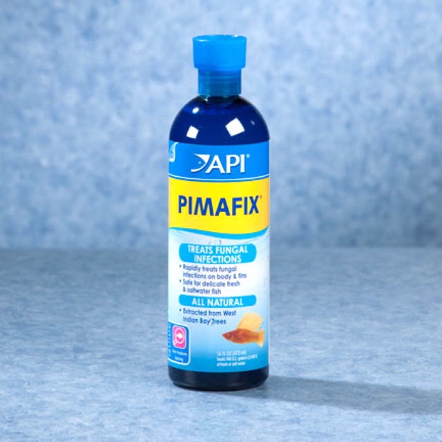 API PIMAFIX - Đặc Trị Nhiễm Nấm Ở Cá Cảnh (Hàng Công Ty)