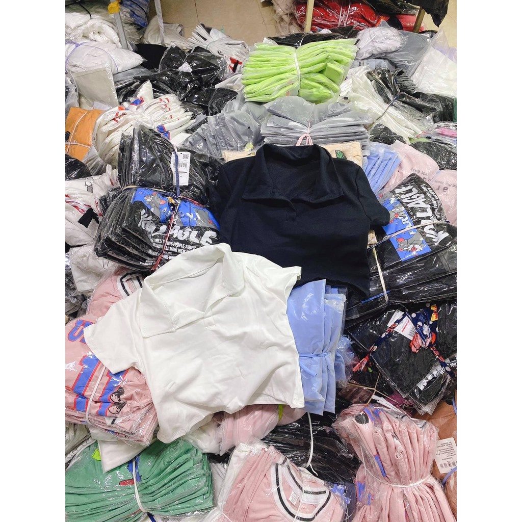 [ FREESHIP +SIÊU GIẢM GIÁ] Áo Nữ Croptop cổ đức tay ngắn trẻ trung sành điệu | BigBuy360 - bigbuy360.vn