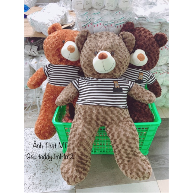 Gấu Teddy Cao Cấp 💖 FREESHIP 💖 Gấu Bông Teddy Khổ Vải 1M,1M2,1M5,1M7 Hàng VNXK Chất Đẹp