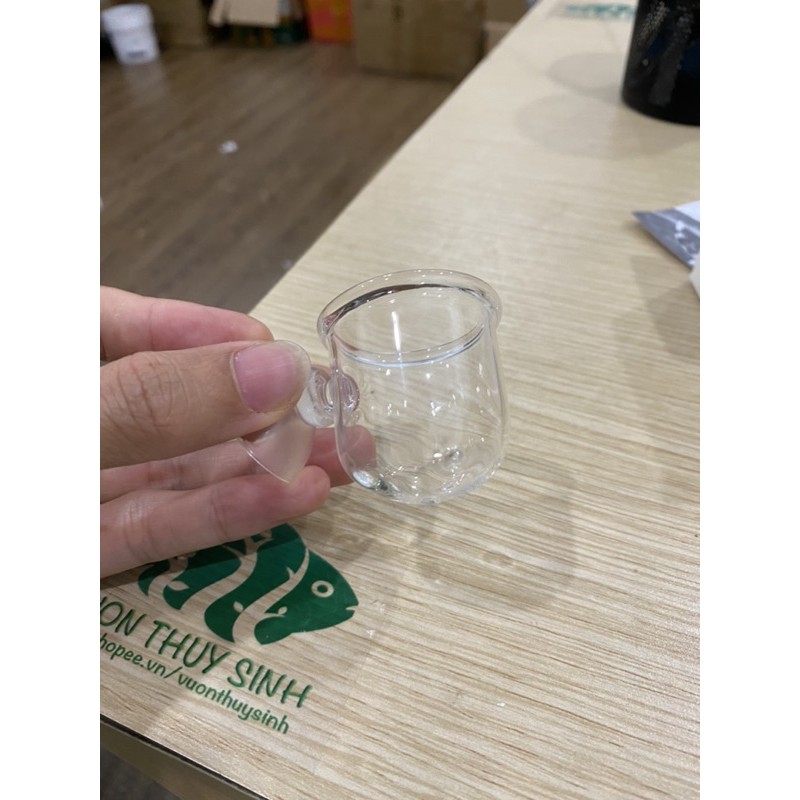 Cốc đựng giun, trùn chỉ thuỷ tinh