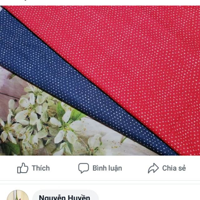 Sét vải của c ánh