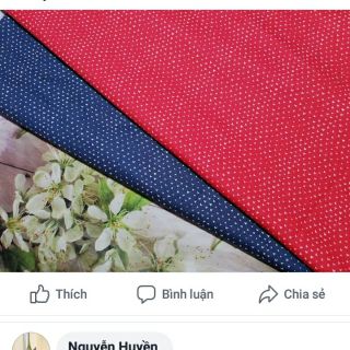 Sét vải của c ánh