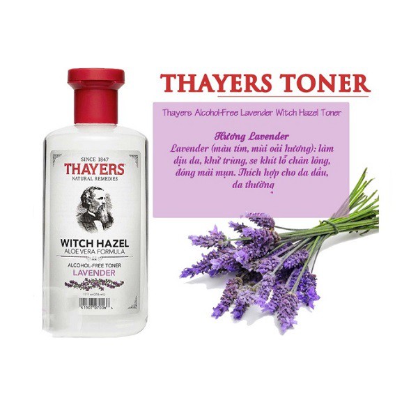 Nước Hoa Hồng Làm Sạch, Se Khít Lỗ Chân Lông Không Chứa Cồn Thayers Alcohol Free Witch Hazel Toner Lavender 355ml