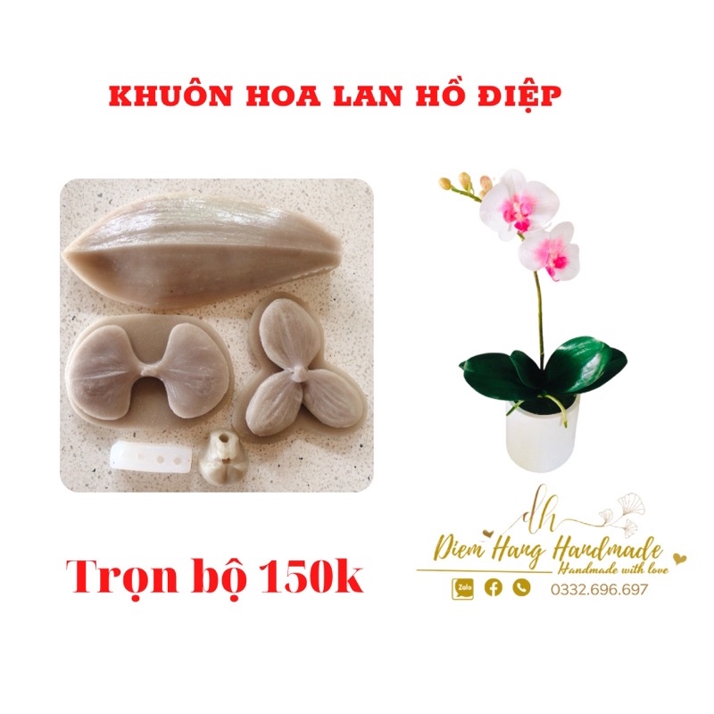 BỘ KHUÔN LAN HỒ ĐIỆP (khuôn nhựa ,khuôn ti lan silicon )