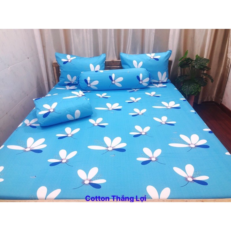 DRAP COTTON THẮNG LỢI MỚI - SỈ LẺ TQ