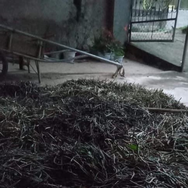 Com bo đỗ đen quê