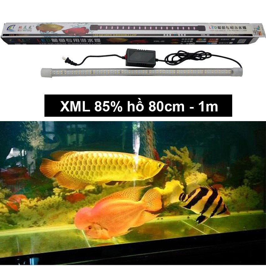 Đèn LED XML 85% cho hồ bể cá rồng 80cm - 1m, dài 80cm, 2 hàng, ánh sáng vàng/ đỏ