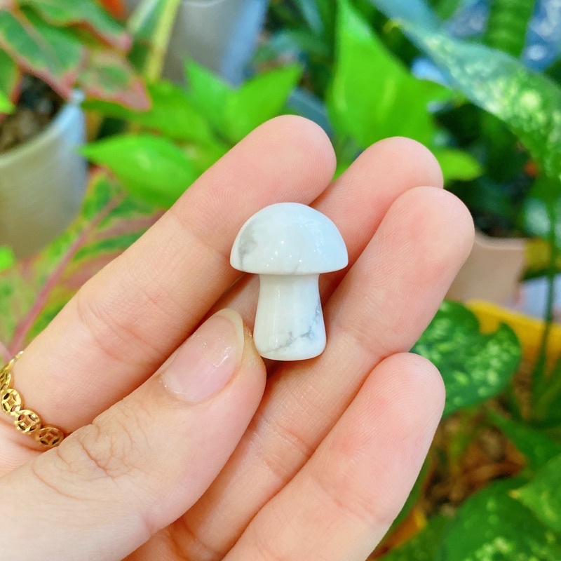 Nấm các loại đá