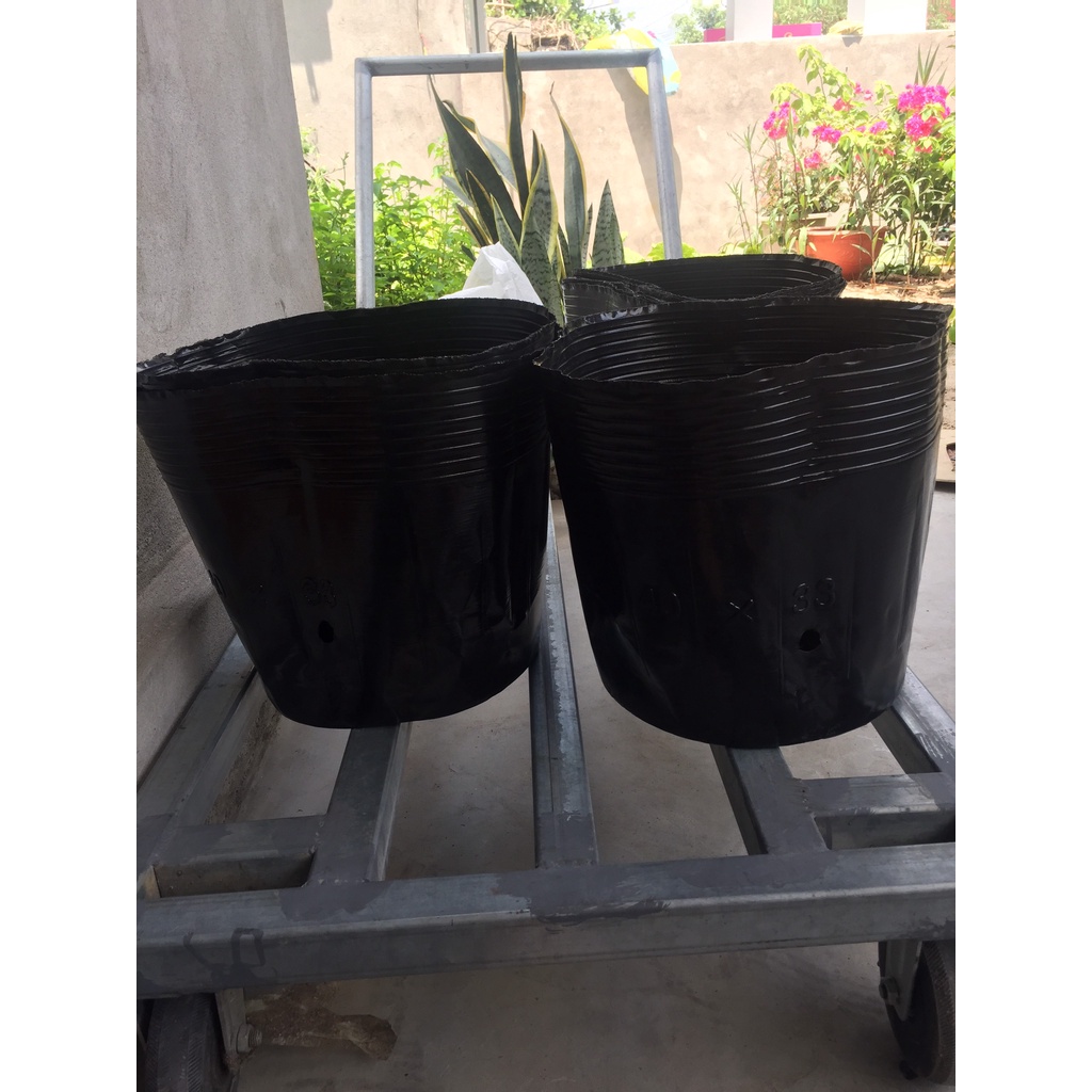 BẦU ƯƠM CÂY 40*33 ( DỊCH TRUYỀN CHO CÂY, KÍCH RỄ , MẦM CÂY XANH LÁ, LƯỚI CHE NẮNG...)