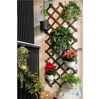 Giàn gỗ đa năng trang trí ban công, giàn leo cho cây, hoa, kệ gỗ gắn tường treo cây ban công