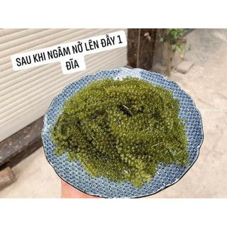 Rong Nho muối 500g