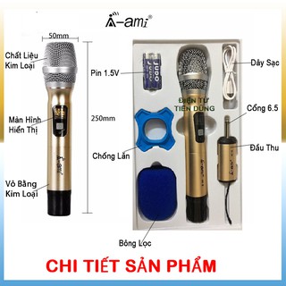 Micro Không Dây AMI W-5