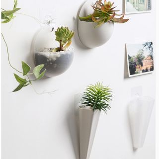 Chậu trồng cây treo tường mini