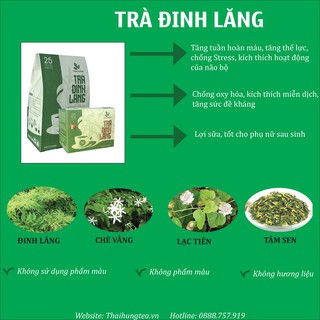 Trà Đinh Lăng Thái Hưng