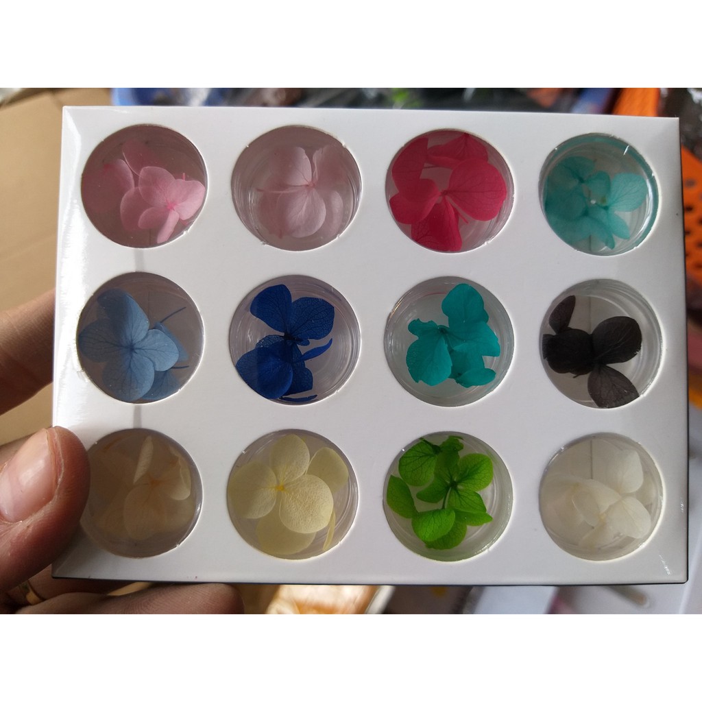 Phụ Kiện Trang Trí Móng Bằng Hoa Lụa, Hoa Khô - Lẻ 1 hộp