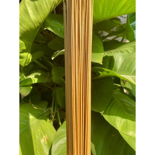 Nan Thẳng Hàng Cật Loại Đẹp Làm Lồng Chim