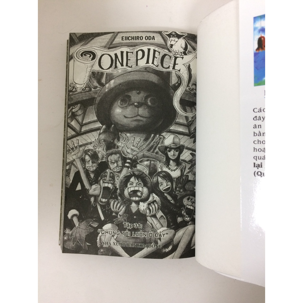 Sách - One piece - Tập 31 (Bìa rời)