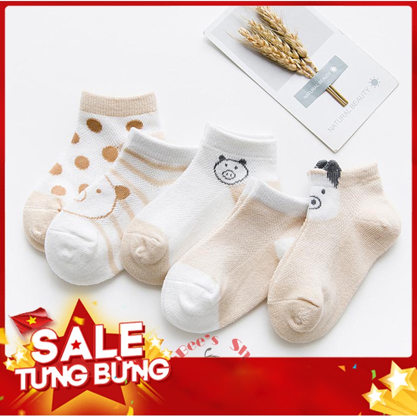 [RẺ VÔ ĐỊCH] Set 5 Tất Lưới Cho Bé