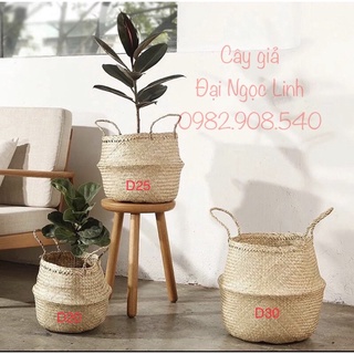 Giỏ cói tự nhiên trang trí D20 và D25 và D30