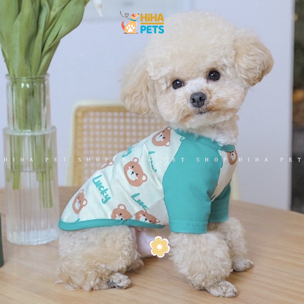 Áo Thun Chó Mèo Thun Cotton 100% Hàng Cao Cấp Quần Áo Thú Cưng Thời Trang Mùa Hè Hihapet.