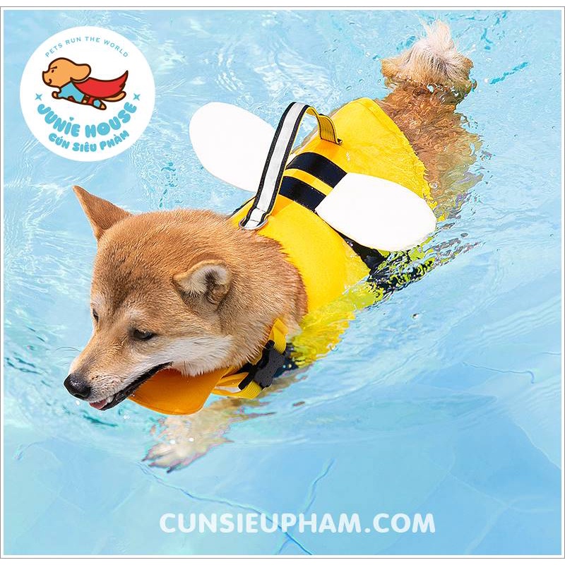 Áo phao bơi ong vàng đi biển cho chó mèo