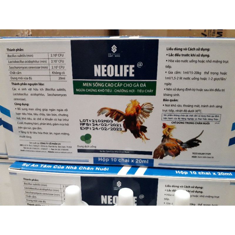 NEOLYFE UV. lọ 20ml. Men nước gà đá