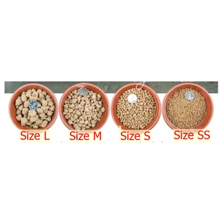 1 Bao đất nung Nhật Akadama size SS/S/M/L chuyên dùng trồng sen đá, xương rồng và bonsai