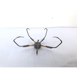 Bộ lưỡi câu ngựa - ngũ dành cho dân câu ao, hồ, sông,luoi cau chì Đáy, cỡ lưỡi 10 - 12 siêu dính cá, chất lượng tốt