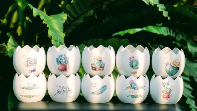 Chậu trồng cây hình trứng in hình siêu đẹp (hình ngẫu nhiên)