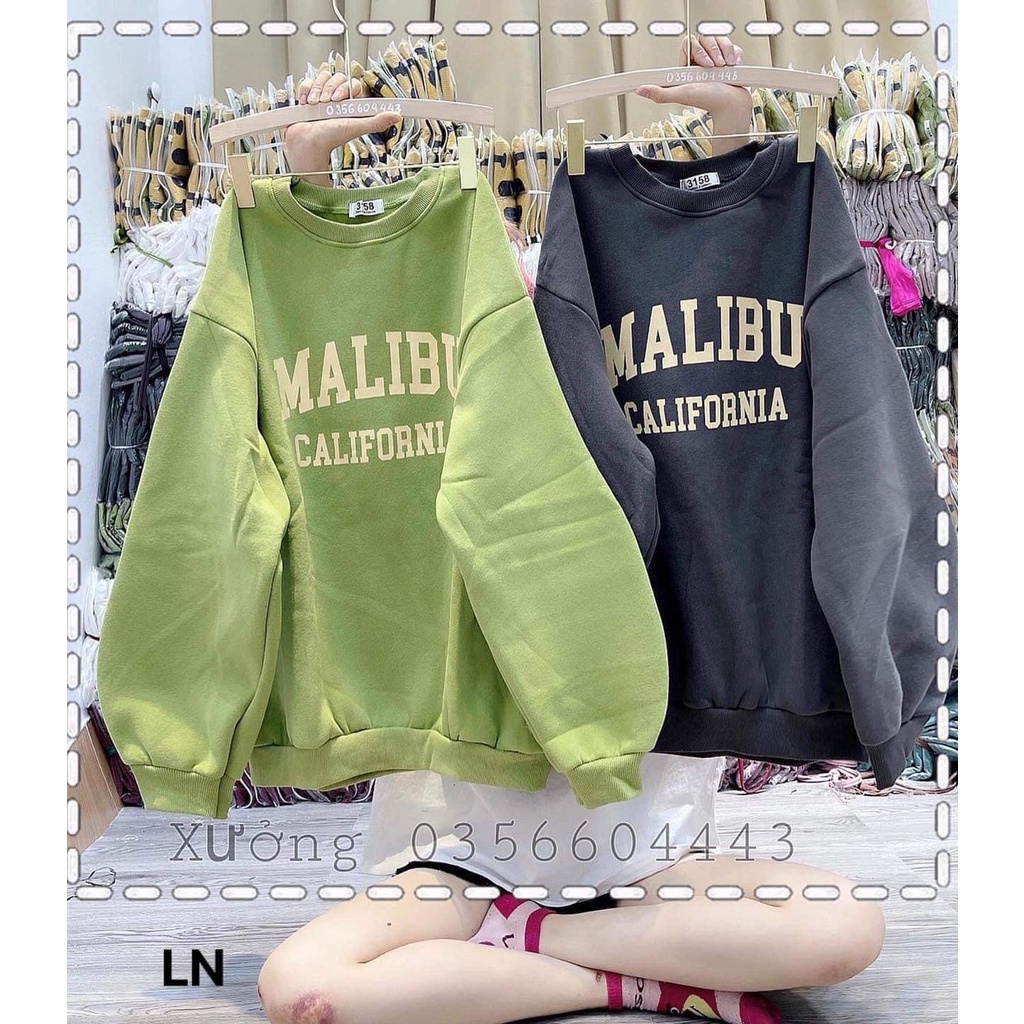 Áo nỉ form thụng tay phồng Sweater MALIBU chất liệu nỉ cotton