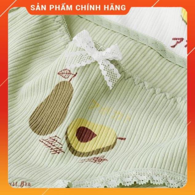 Quần Lót Nữ Quả Bơ Siêu CuTe ( Chọn Màu )