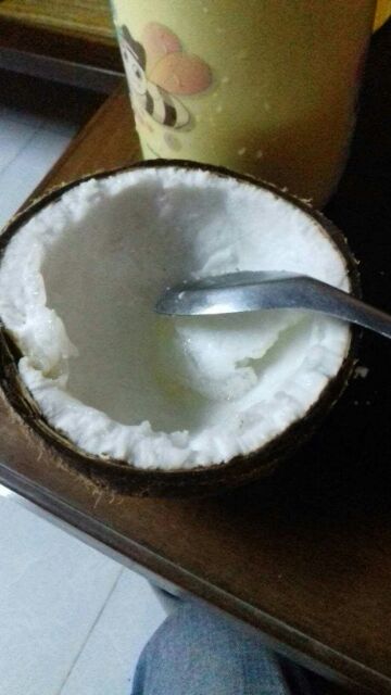 Dừa Sáp Lỏng 3 Cầu Kè-Trà Vinh