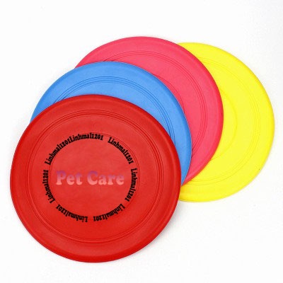 Đĩa silicon huấn luyện chó