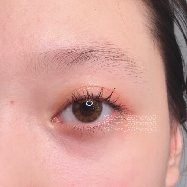 Bingsu brown lens 0 độ gdia 13.8 mm hsd 10 tháng