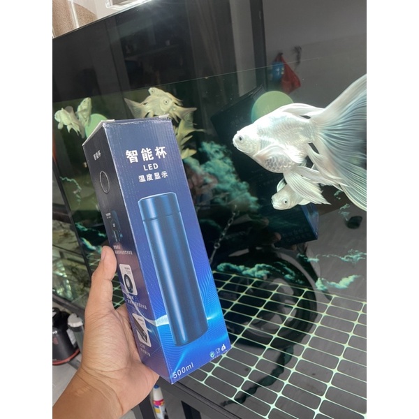 Bình giữ nhiệt led - tích hợp màn hình hiển thị nhiệt độ 500ml